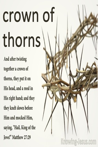 Matthew 27:29 They Twisted Together A Crown Of Thorns (cream)